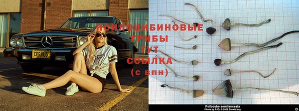 твердый Елабуга