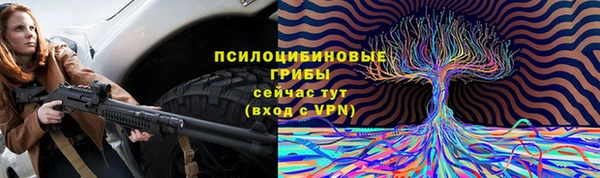 молекула духа Инсар