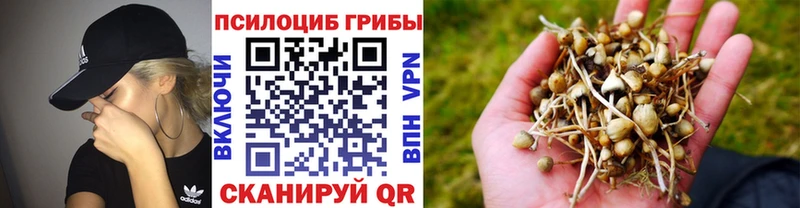 купить наркоту  Коряжма  Галлюциногенные грибы ЛСД 