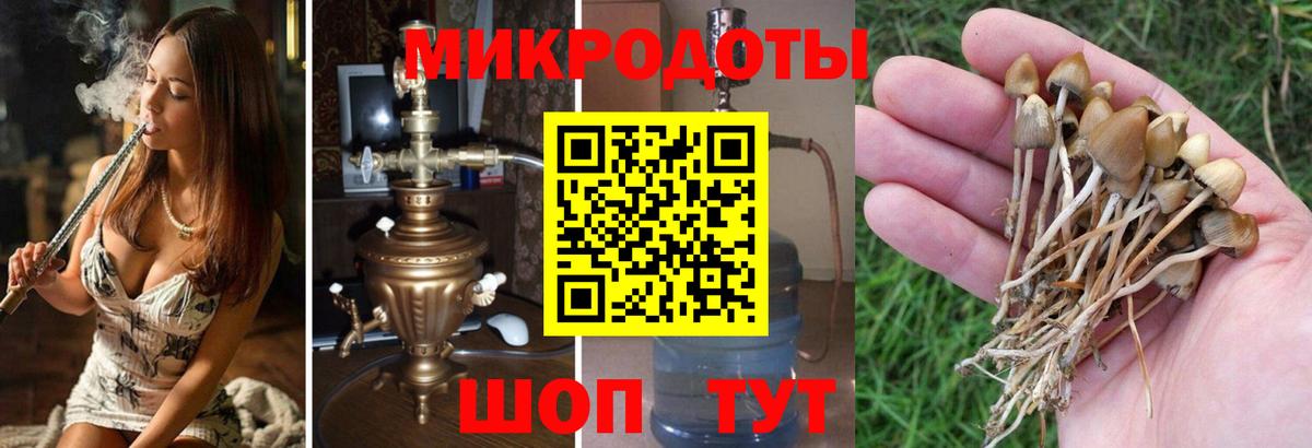Галлюциногенные грибы GOLDEN TEACHER Коряжма